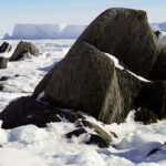 Granite, Surgeon Island, Antarktika (c) N. Koglin